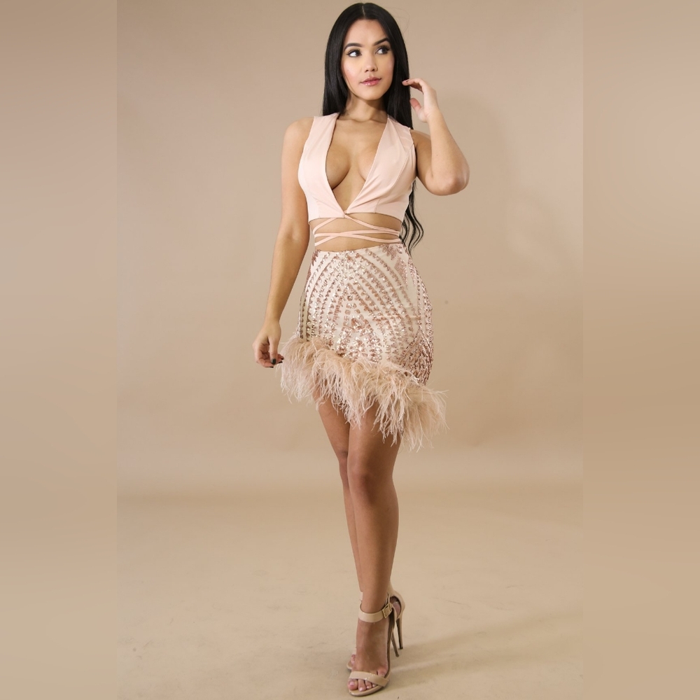 Sleeveless Deep V Wrap Crop Top Sequin Feather Asymmetric Hem Nude Skirt Set L